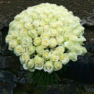 101 белая роза в Черкассах фото