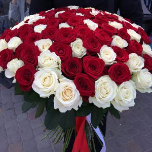 101 красная и белая роза в Черкассах фото