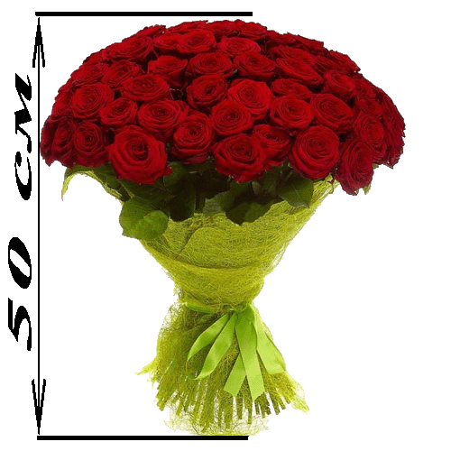 Фото товара 101 красная роза (50см) в Черкассах