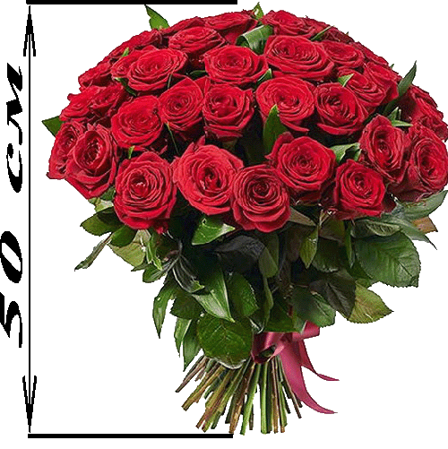 Фото товара 51 красная роза (50см) в Черкассах