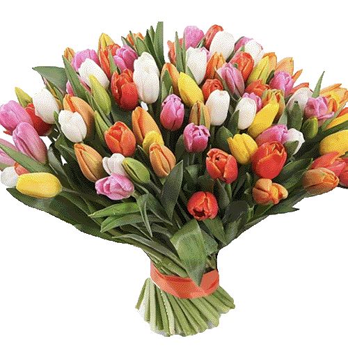Фото товара 101 разноцветный тюльпан в Черкассах