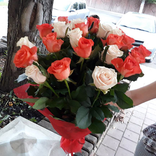 кремовые и оранжевые розы фото