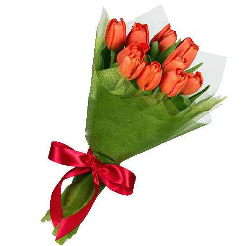 Фото товара 11 красных тюльпанов в Черкассах