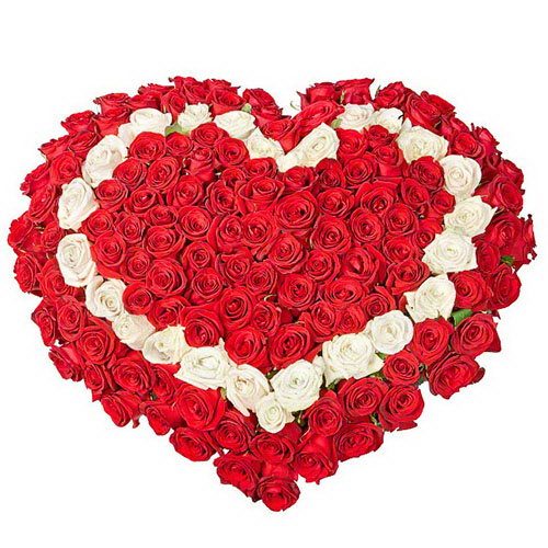 Фото товара 101 роза сердцем - красная, белая, красная в Черкассах