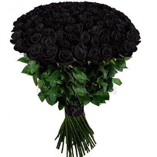 Фото товара 101 черная роза в Черкассах