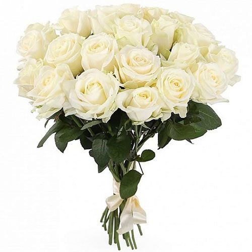 Фото товара 21 белая роза в Черкассах