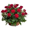 Фото товара 21 красная роза в корзине в Черкассах