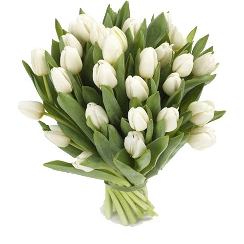 Фото товара 25 белых тюльпанов в Черкассах