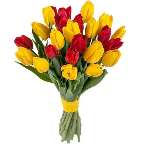 Фото товара 15 красно-жёлтых тюльпанов (с лентой) в Черкассах
