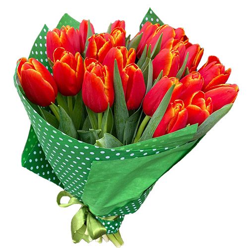 Фото товара 21 тюльпан "Маковый цвет" в Черкассах