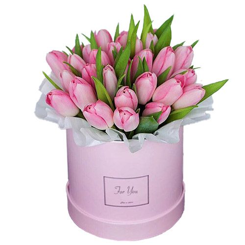 Фото товара 31 нежно-розовый тюльпан в коробке в Черкассах
