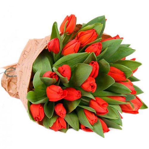 Фото товара 35 красных тюльпанов в "газете" в Черкассах