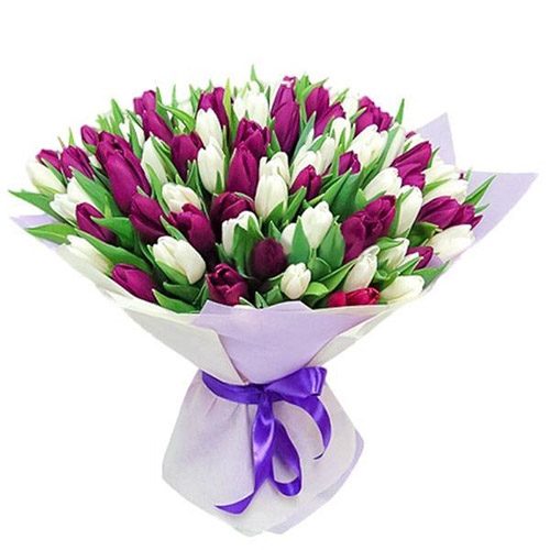Фото товара 75 пурпурно-белых тюльпанов в Черкассах