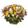 Фото товара 75 фиолетово-жёлтых тюльпанов в Черкассах