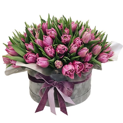 Фото товара 101 пурпурный тюльпан в коробке в Черкассах