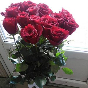 15 красных роз в Черкассах фото