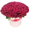 Фото товара 101 роза красная в шляпной коробке в Черкассах