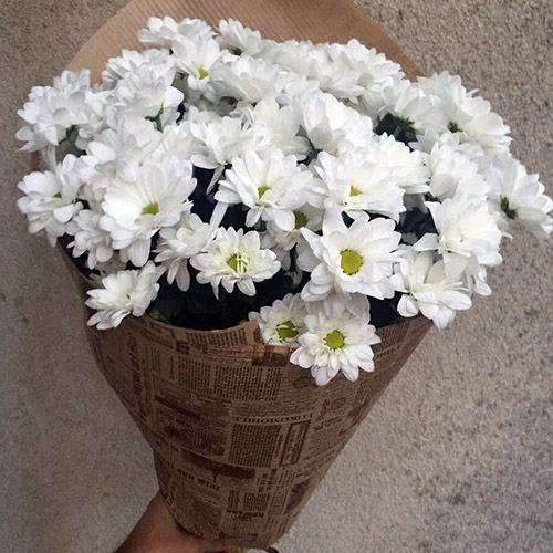 букет белых хризантем в Черкассах фото