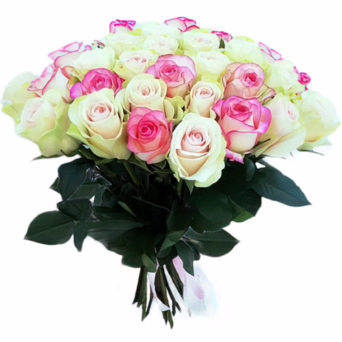 Фото товара 33 кремовые и розовые розы в Черкассах