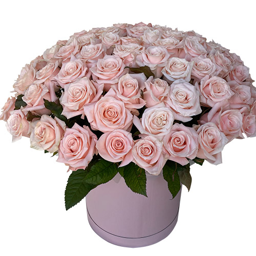 Фото товара 101 розовая роза в коробке в Черкассах