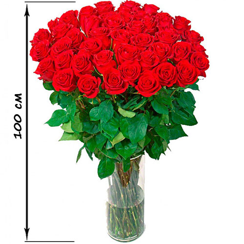 Фото товара 35 высоких роз (100 см) в Черкассах