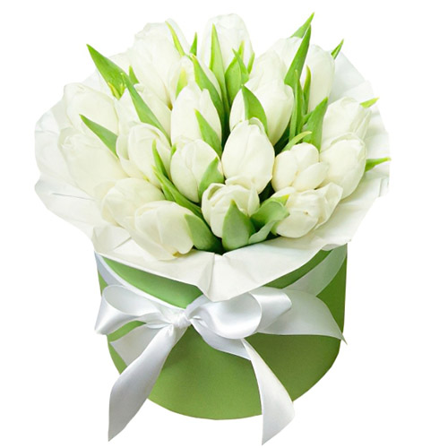 Фото товара 21 білий тюльпан у коробці в Черкассах