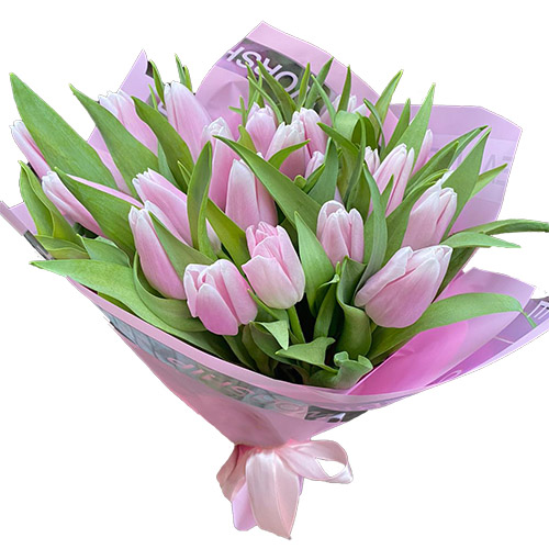 Фото товара 21 ніжно-рожевий тюльпан в Черкассах