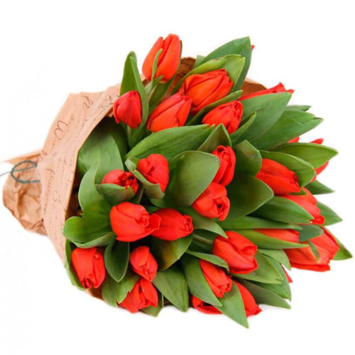 Фото товара 35 червоних тюльпанів у "газеті" в Черкассах