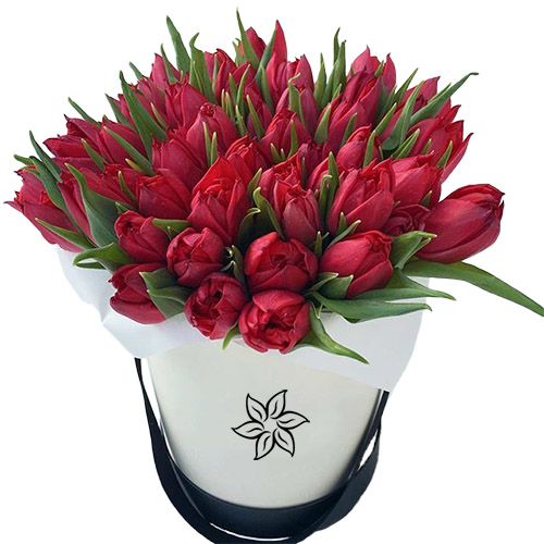 Фото товара 45 червоних тюльпанів у коробці в Черкассах