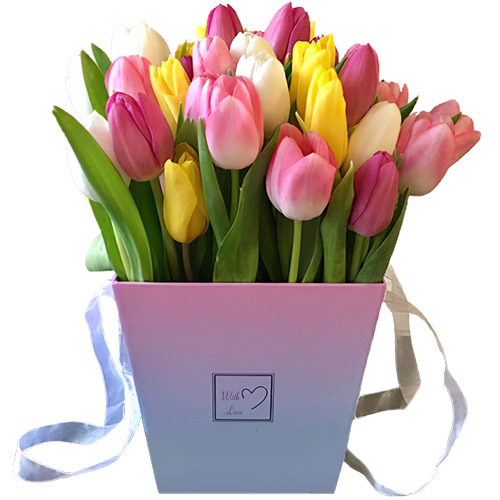 Фото товара 31 тюльпан "Весняний вітер" у квадратній коробці в Черкассах