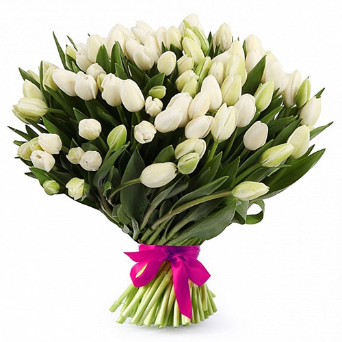 Фото товара 51 білий тюльпан "Джульєтта" в Черкассах