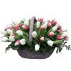 Фото товара 51 біло-рожевий тюльпан у коробці в Черкассах