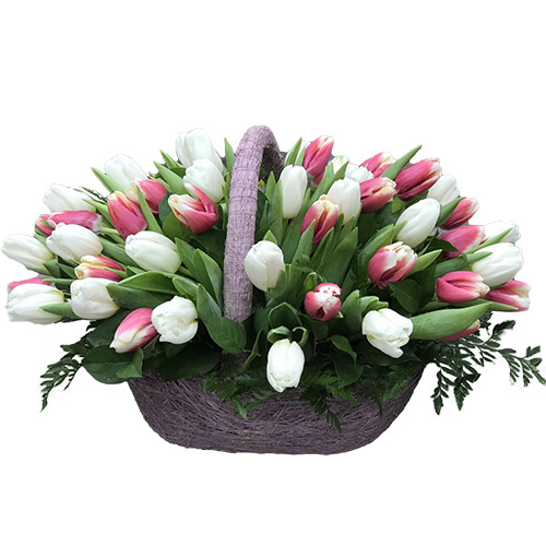 Фото товара 51 біло-рожевий тюльпан у кошику в Черкассах