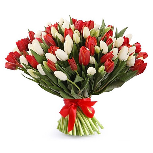 Фото товара 75 червоно-білих тюльпанів (зі стрічкою) в Черкассах