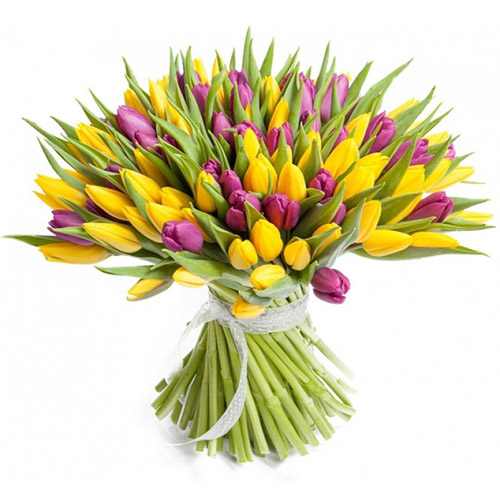 Фото товара 75 фіолетово-жовтих тюльпанів в Черкассах