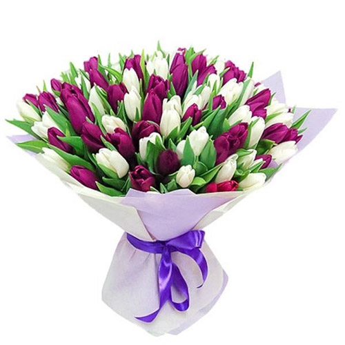 Фото товара 75 пурпурно-білих тюльпанів в Черкассах