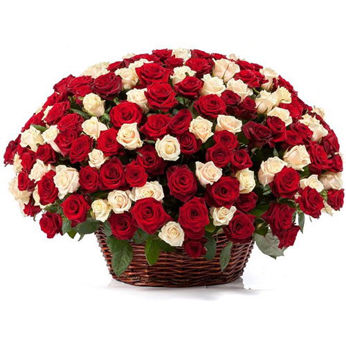 Фото товара 101 троянда мікс в кошику в Черкассах
