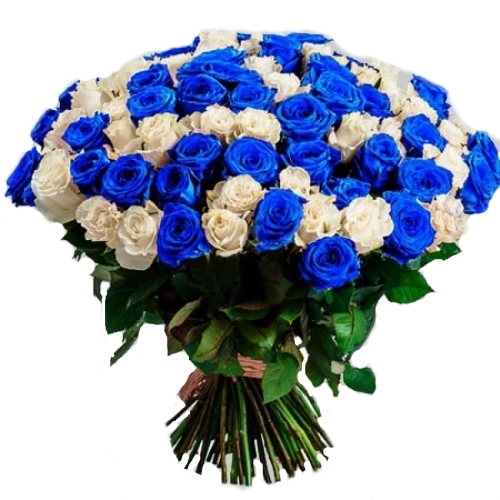 Фото товара 101 біла і синя троянда (фарбована) в Черкассах