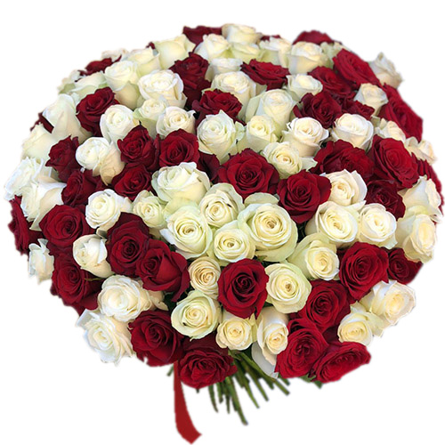 Фото товара 101 червона і біла троянда в Черкассах
