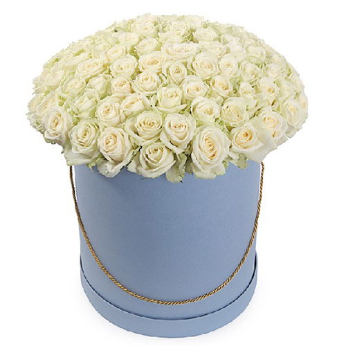 Фото товара 101 троянда біла в капелюшній коробці в Черкассах