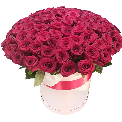 Фото товара 101 троянда червона в капелюшній коробці в Черкассах