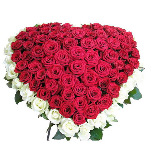 Фото товара 101 троянда серце - біла і червона в Черкассах