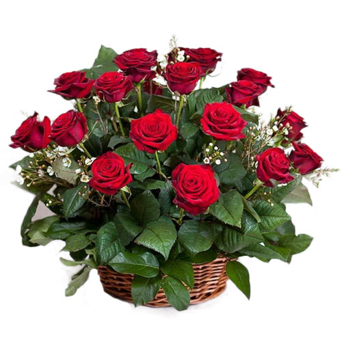 Фото товара 21 червона троянда в кошику в Черкассах