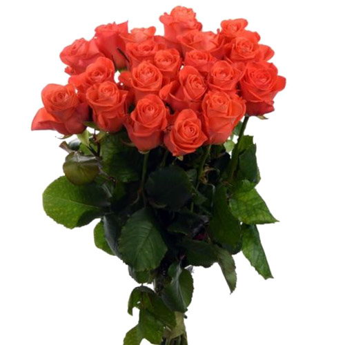 Фото товара 21 троянда "Вау" в Черкассах