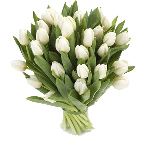 Фото товара 25 білих тюльпанів в Черкассах