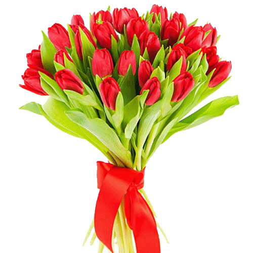 Фото товара 25 червоних тюльпанів в Черкассах