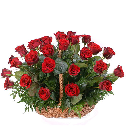 Фото товара 35 червоних троянд в кошику в Черкассах