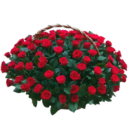 Фото товара 101 червона троянда в кошику в Черкассах