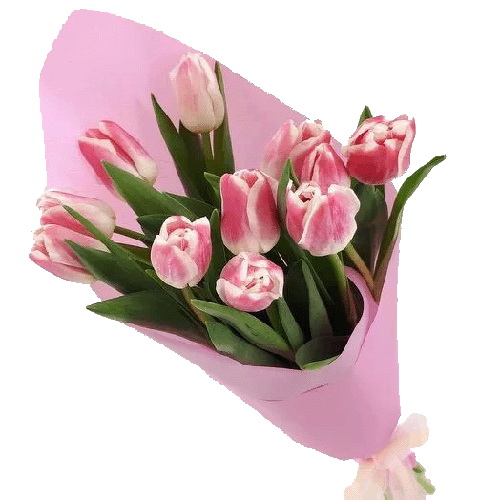 Фото товара 11 рожевих тюльпанів в Черкассах