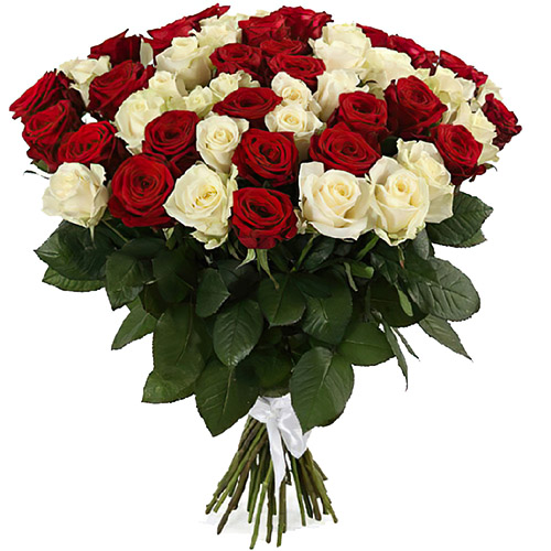 Фото товара 51 червона та біла троянда в Черкассах